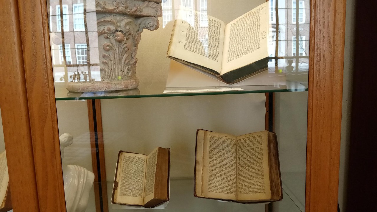 Exhibition about the Roman Lupa