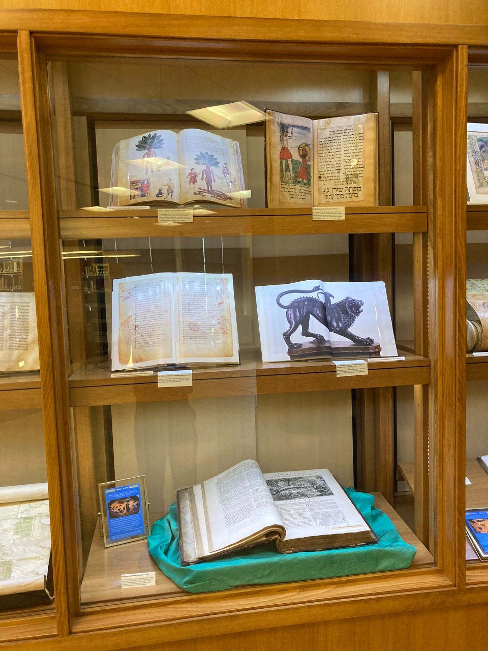 The mandrake in the Materia Medica.