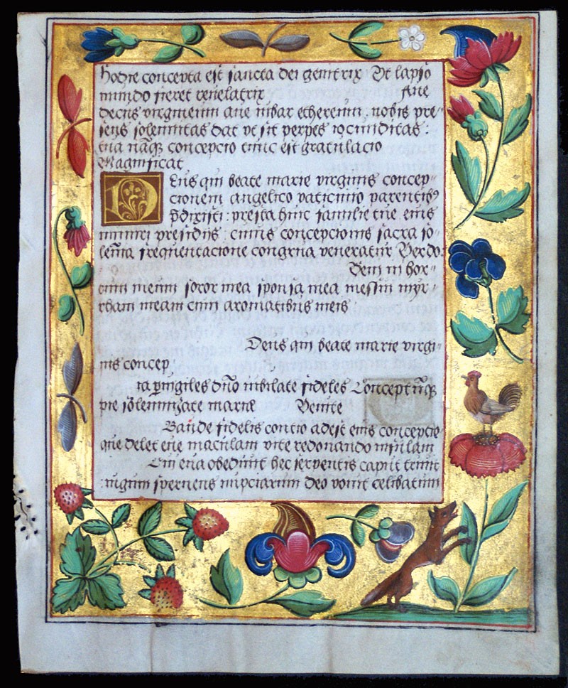 Medieval manuscript with animals and plants