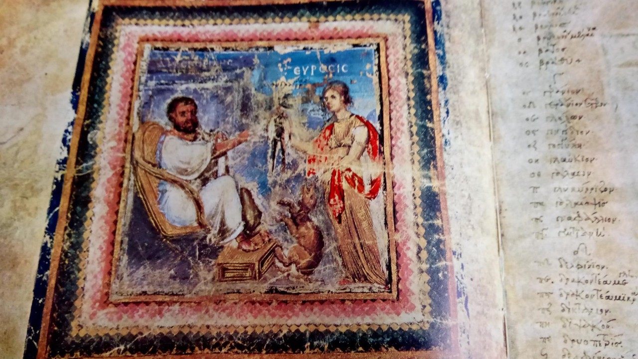 In Dioscurides personification of Heuresis gives mandrake