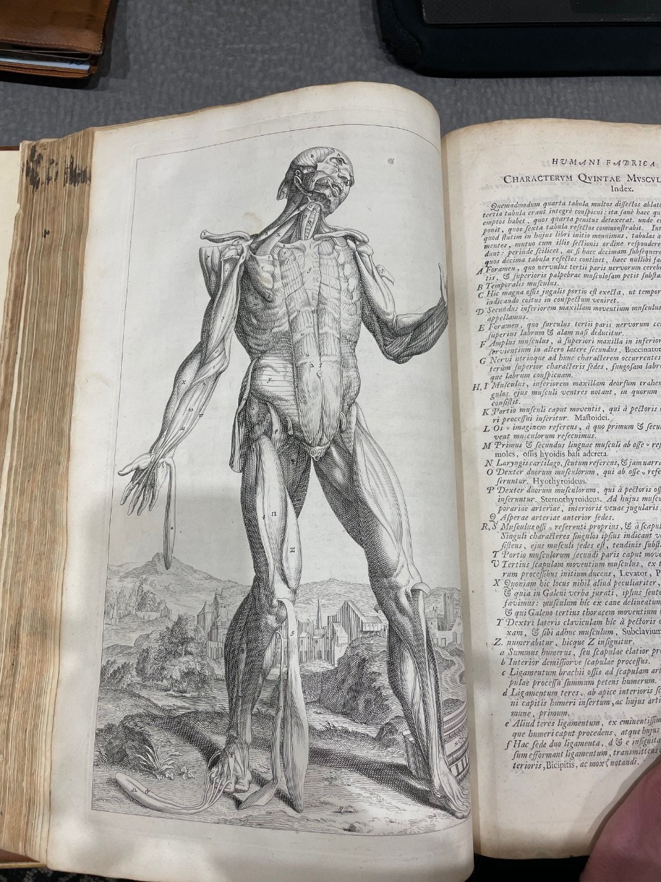 "Muscle Man" in a Landsacpe, from Vesalius, Opera omnia anatomica..., Engraving, 1725, UC HSL PRIMARY QS 17 V575 v. 1 1725